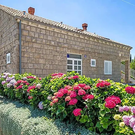 Amalija 4* Cavtat